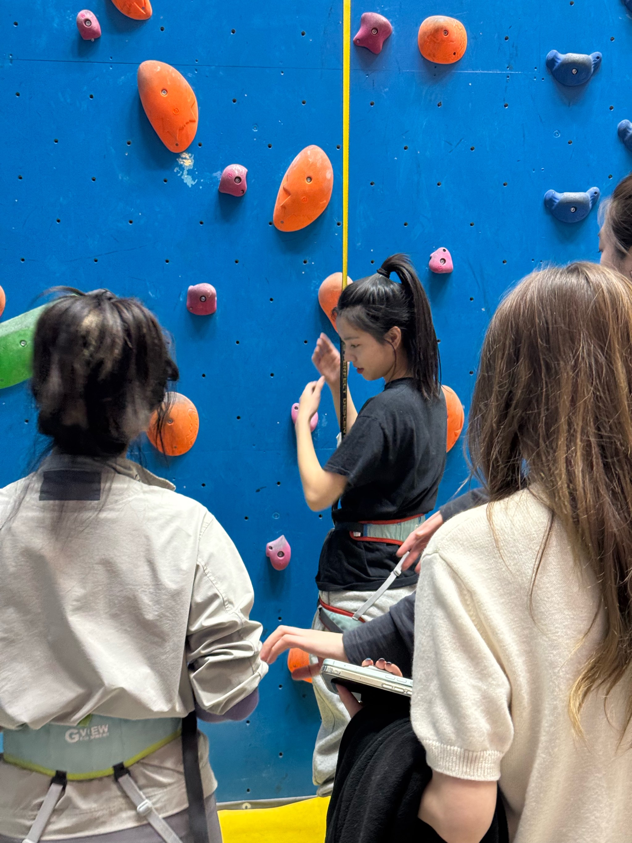 关于爬墙比赛高难度表现挑战极限令人紧张万分的信息