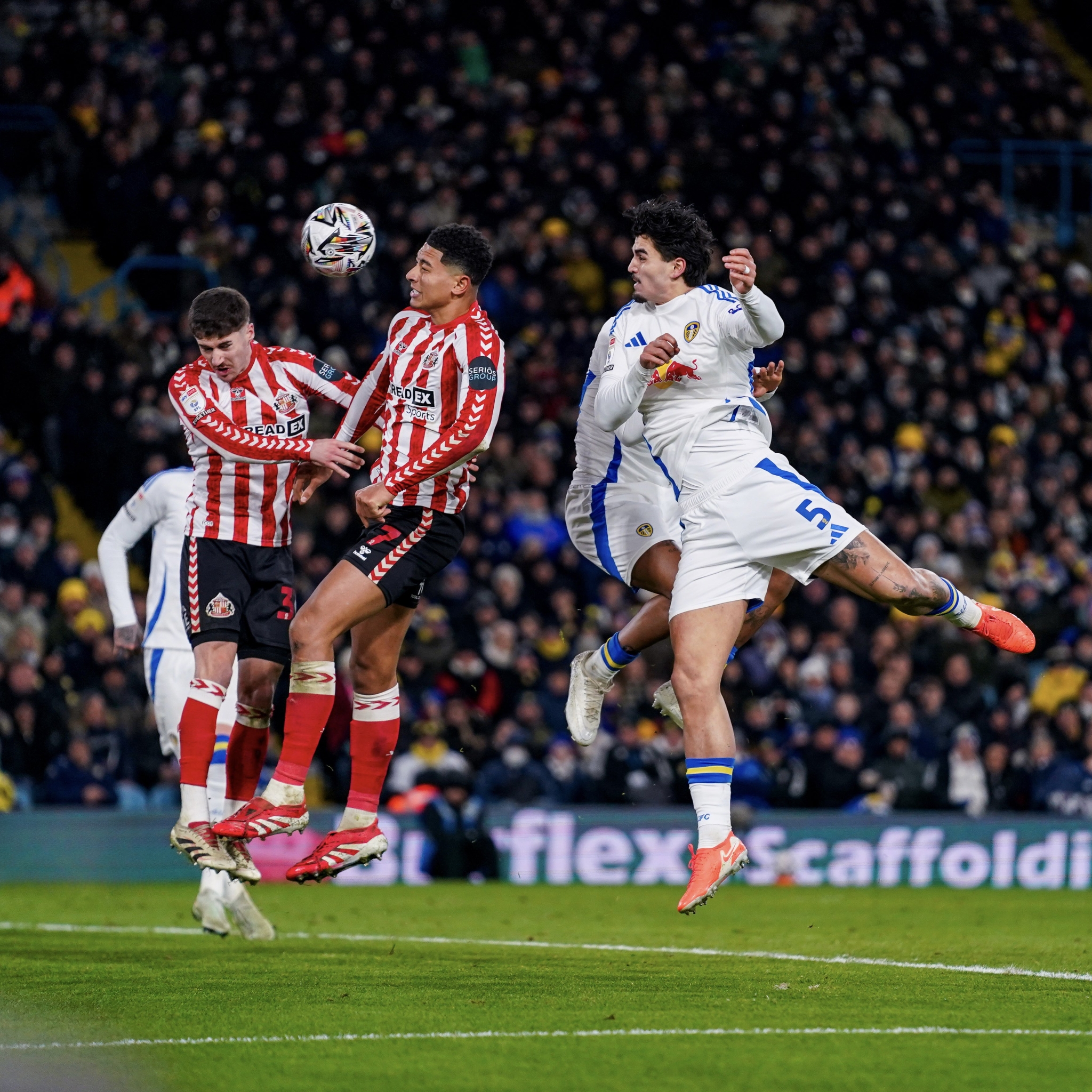 包含谢菲联主场不利，保级形势堪忧的词条