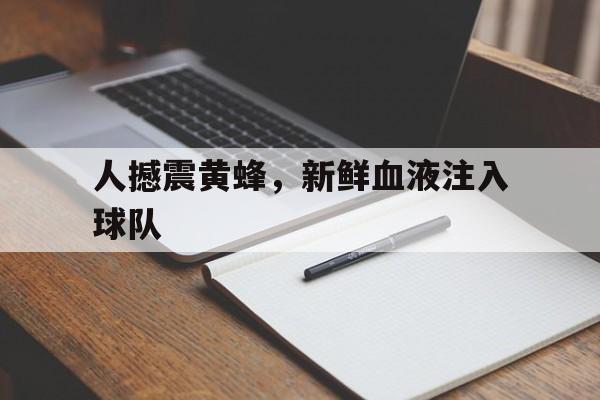 人撼震黄蜂,新鲜血液注入球队 人撼震黄蜂,新鲜血液注入球队