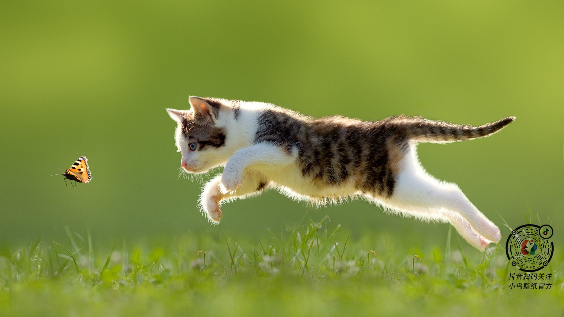 公牛打穿上海队！伤愈归来的乔治竟成救世主