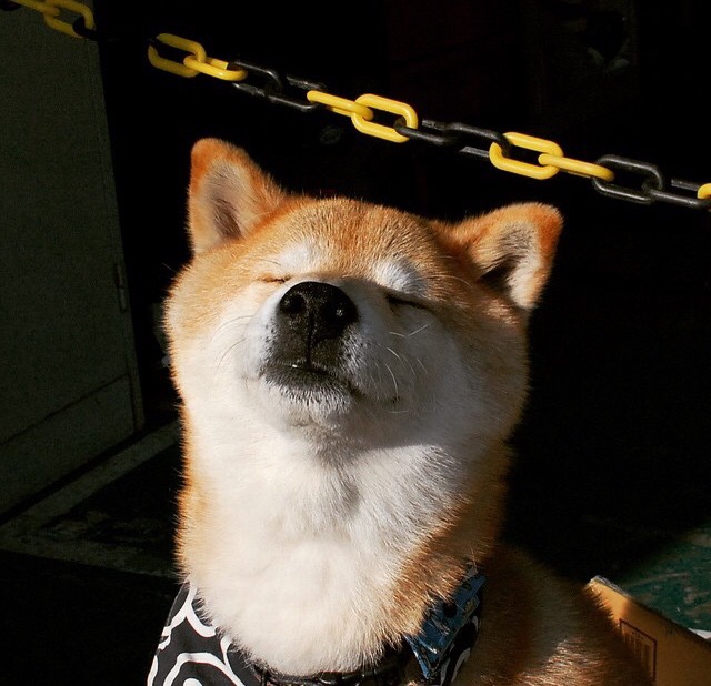 绿茵场与赛道的交响，墨西哥翻盘的艺术与卡瓦哈尔的赛道接管术