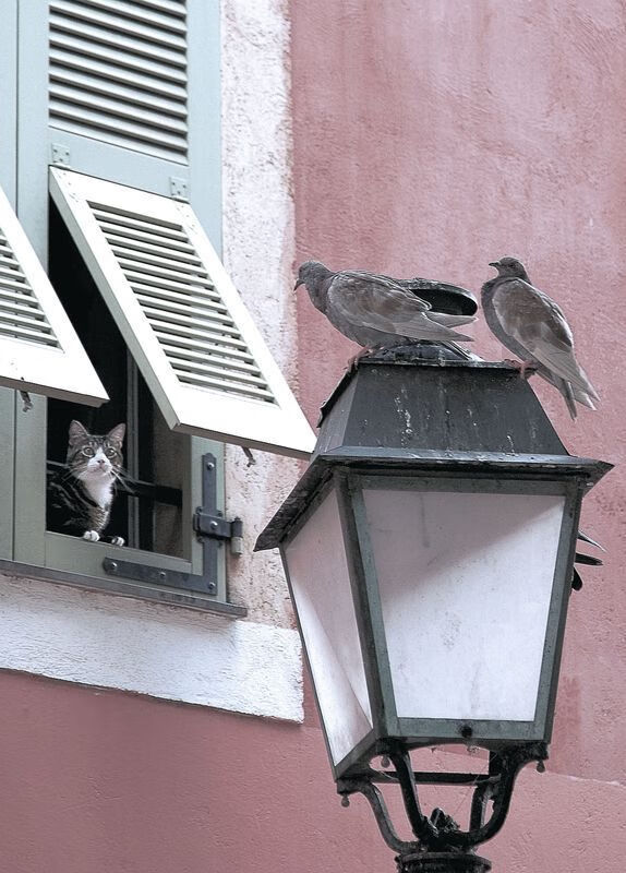 赛事风云,克罗地亚压制冰岛,梅西化身关键先生