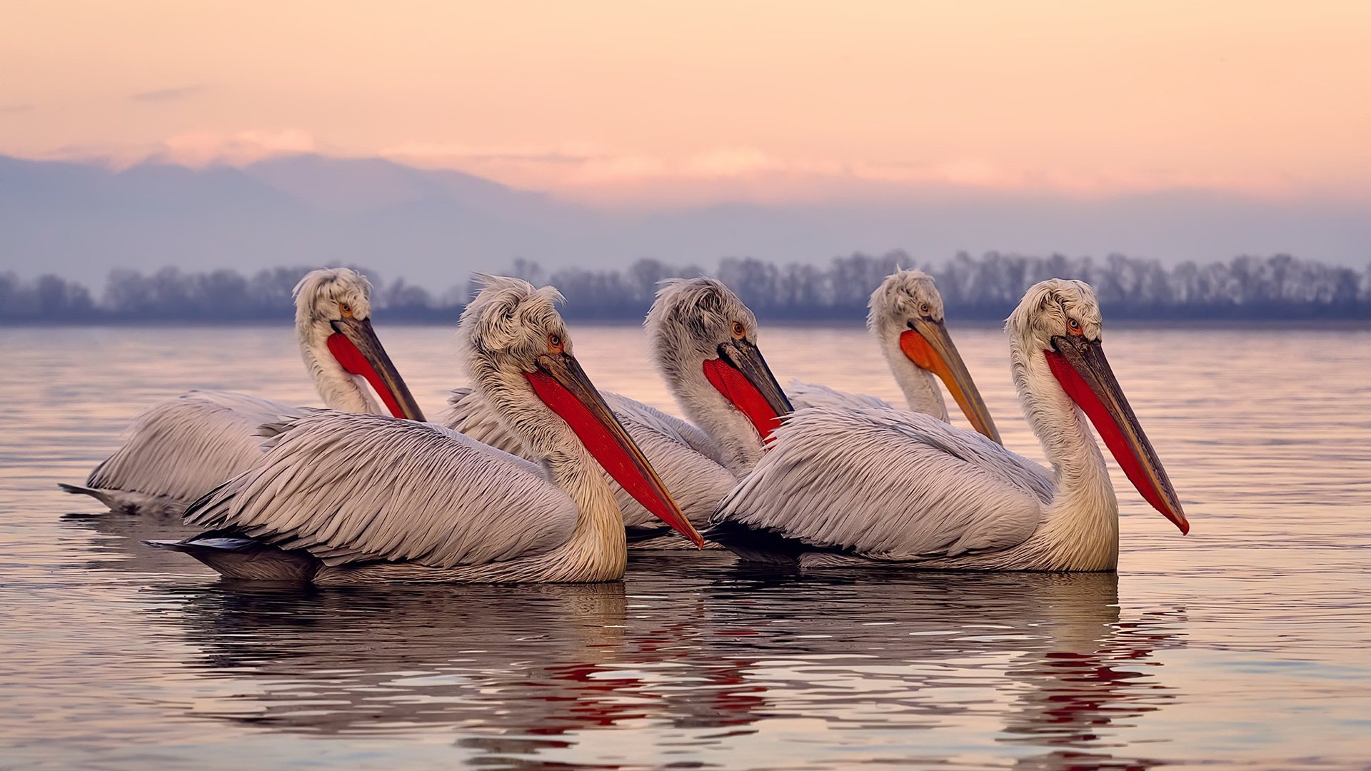 双城记，当阿森纳横扫利物浦，梅西在焦点之夜接管比赛