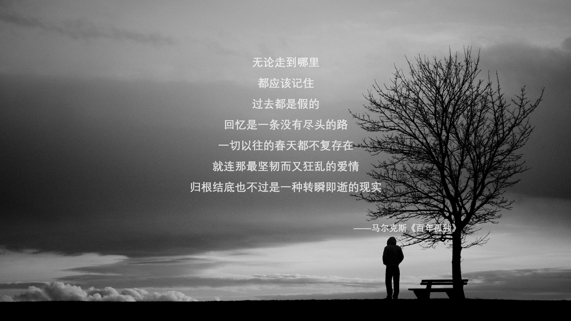 锁链与烈火，当AC米兰防线哲学为阿根廷注入灵魂，劳塔罗用利刃改写命运