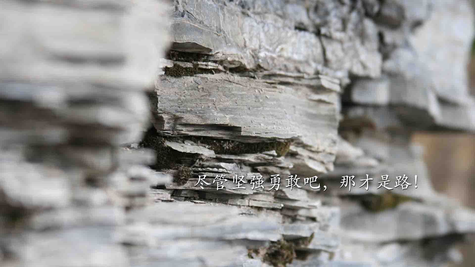 加维关键助攻引领战术革命,日本单节爆发拉开瑞典背后的足球哲学跃迁