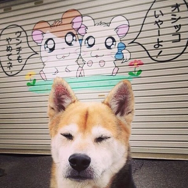 冰火淬锋,奥利维耶一瞬爆发,芬兰铁血踏破玻利维亚高原硬仗