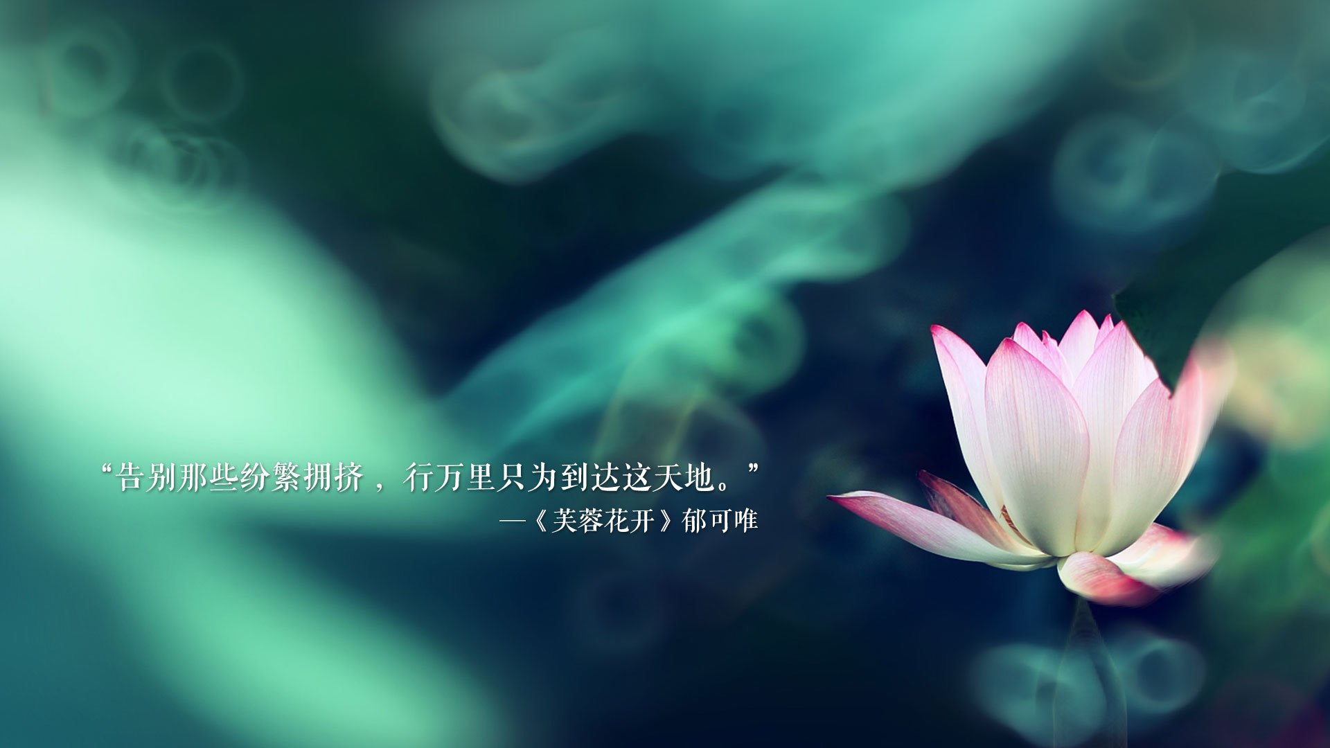 关键先生格列兹曼，厄瓜多尔以智慧与坚韧收割玻利维亚