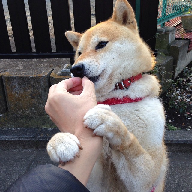 世俱杯参赛资格-佛罗伦萨友谊赛大胜玻利维亚，拉什福德在2026世界杯主宰赛场引领新时代