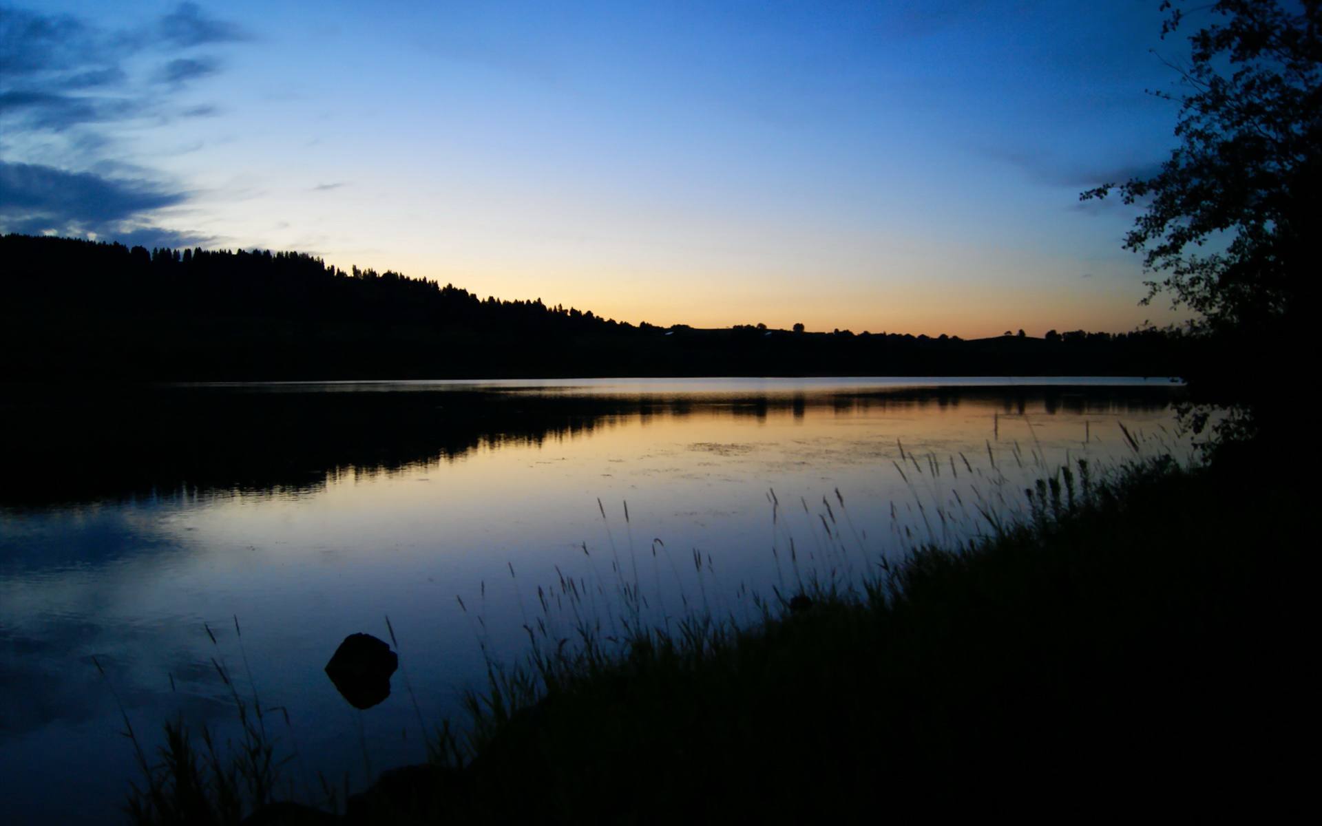 广东队创造历史！东决关键焦点战力斩凯尔特人