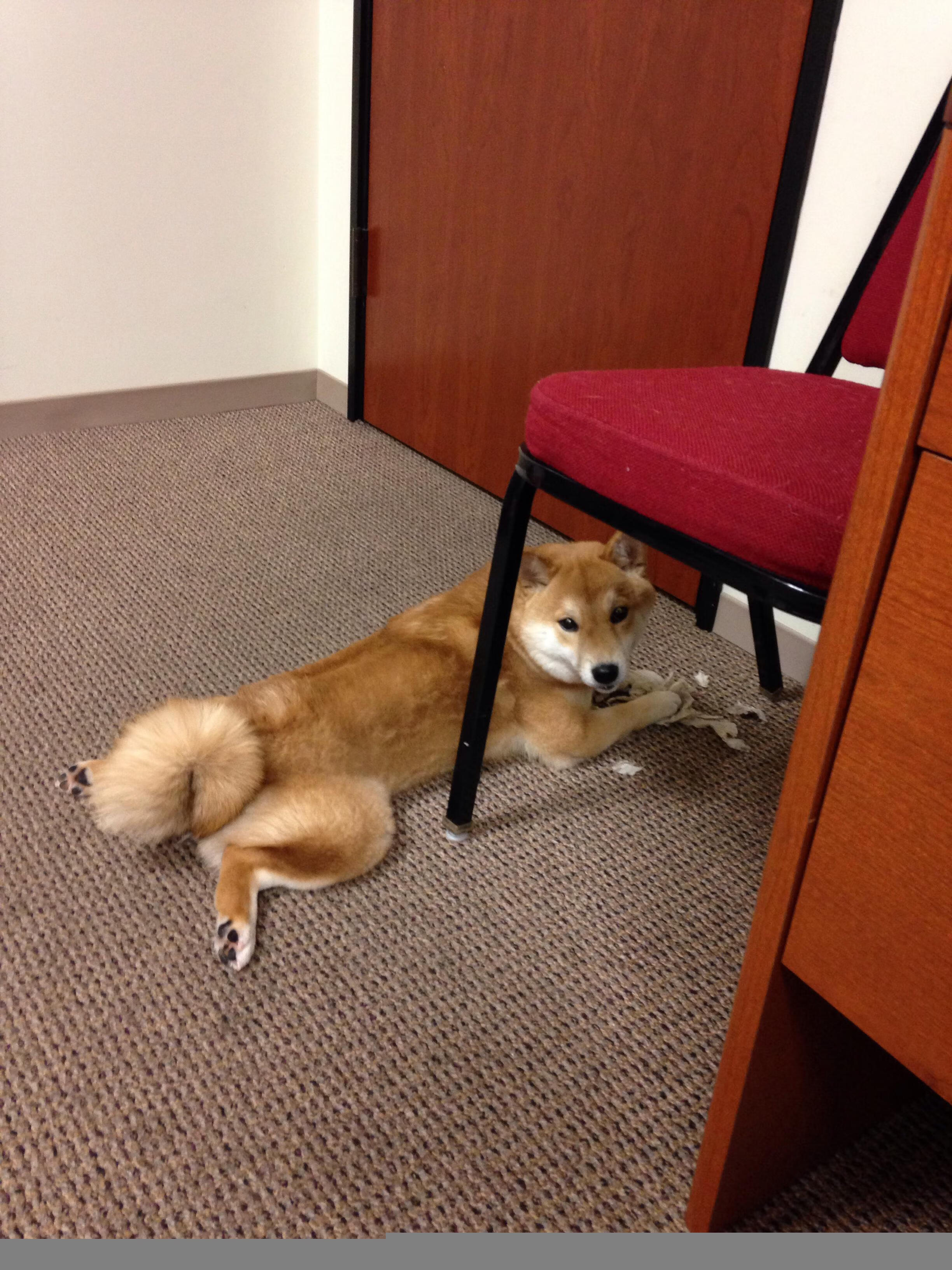 沉默者的回响，德罗赞用一记记中投为爵士写就淘汰奇才的宣言