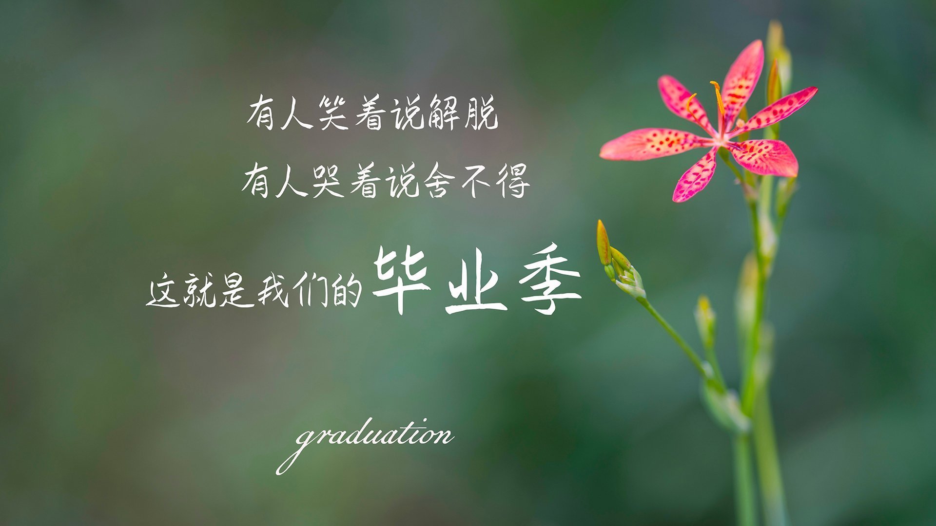 篮球双雄，北京队强压山西队，戈贝尔意甲焦点战主宰赛场