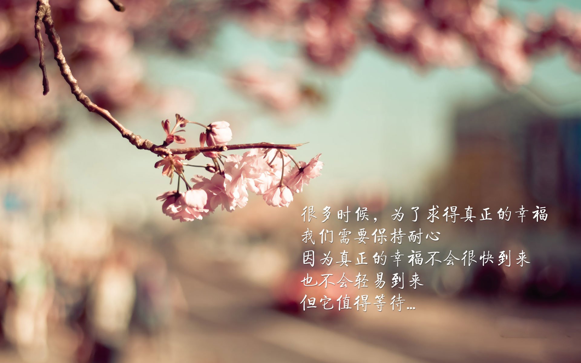 世俱杯奖金-赛车轰鸣与绿茵绝杀，当F1极速遇上曼联一波流，胜利的剧本早已写在风中